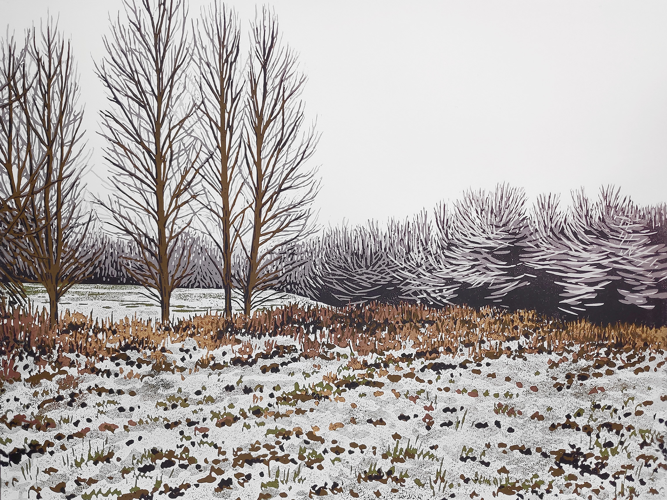 a winter landscape in the countryside with leafless trees and a hedgerow dusted with snow as a liner cut painting by Alexandra buckle