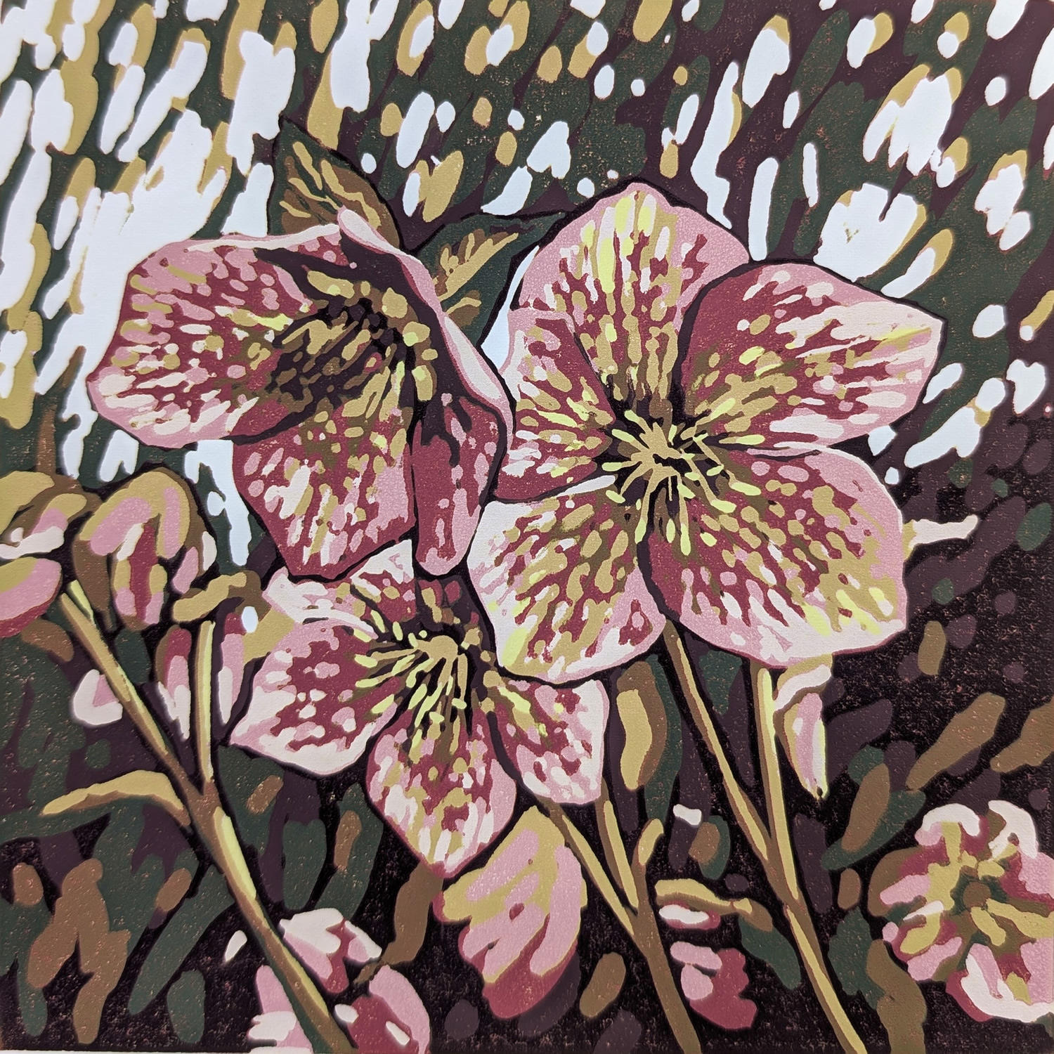 a Lino Cut painting of hellebore of flowers that are pink by the artist Alexandra buckle
