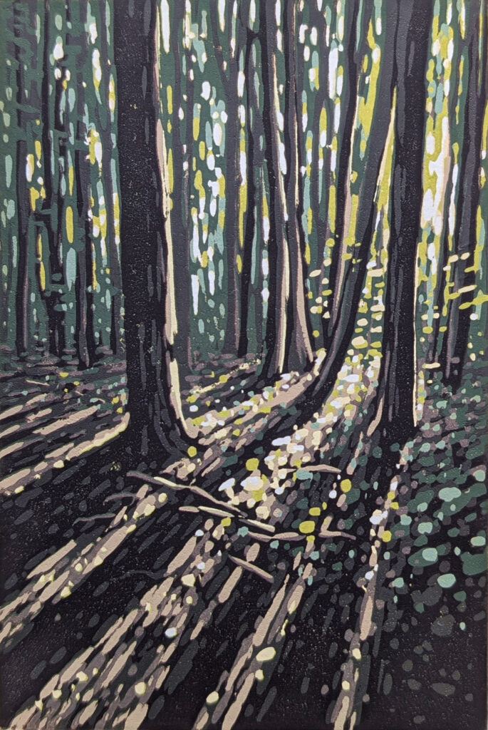 a Lino Cut painting of a woodland in the summertime with light coming in from behind and creating long shadows of the trees Uon the woodland floor. It is by the artist Alexandra buckle