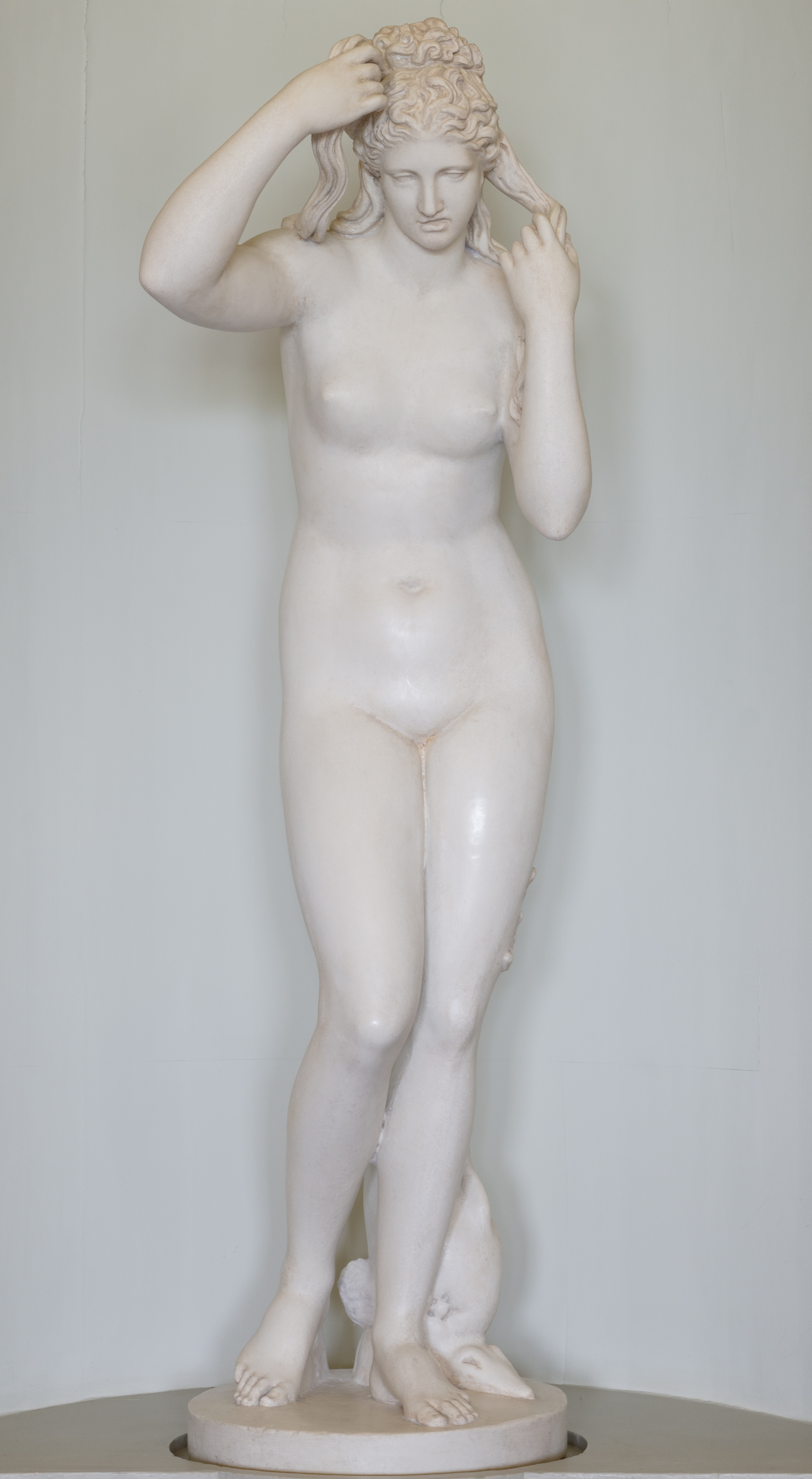 Marine Venus