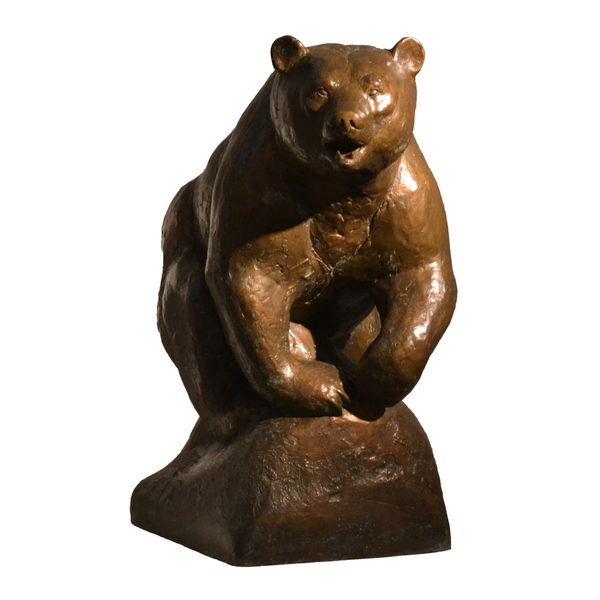 Grizzly Bear